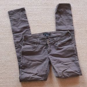 Collezione Dark Brown Jeans